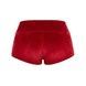 Короткі червоні велюрові шорти korotki-red-veliurovi-shorty-s фото 2